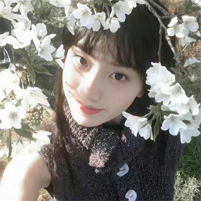 名门绅士2:淑女之心